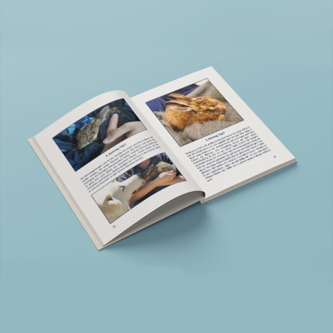 Schnucki 2022 Shop Bild 07