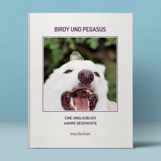 Birdy und Pegasus