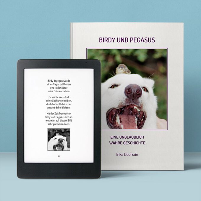 Birdy & Pegasus 2022 Shop Bild 03