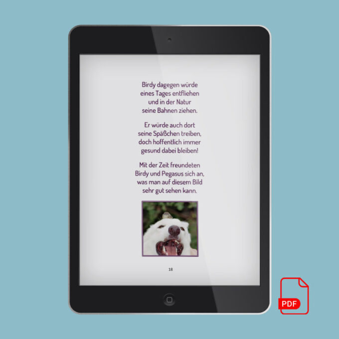 Birdy & Pegasus 2022 Shop Bild 04