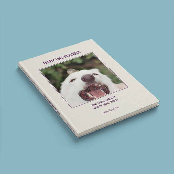 Birdy & Pegasus 2022 Shop Bild 06