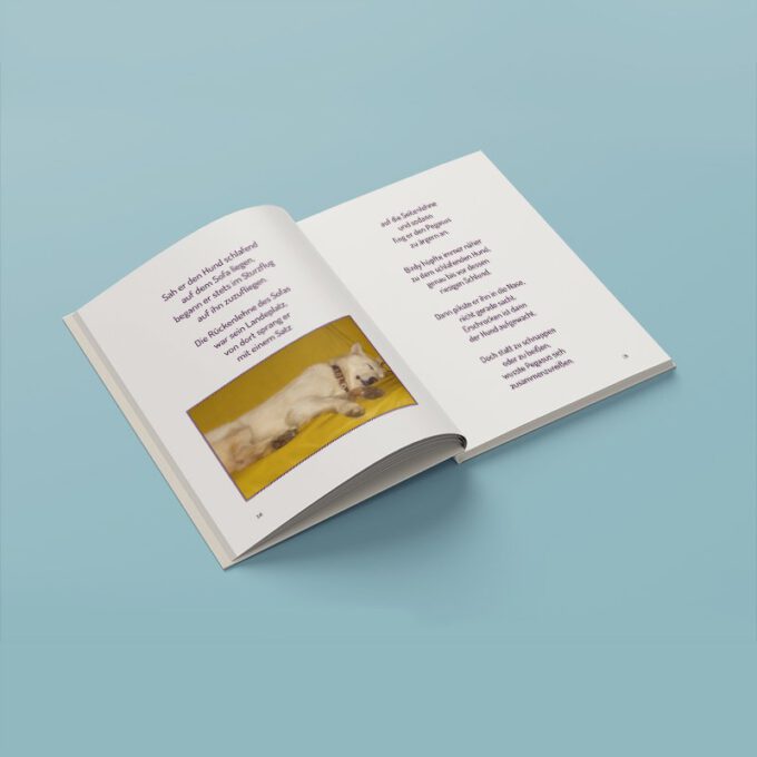 Birdy & Pegasus 2022 Shop Bild 07