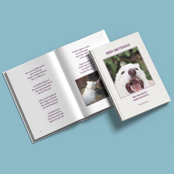 Birdy & Pegasus 2022 Shop Bild 08