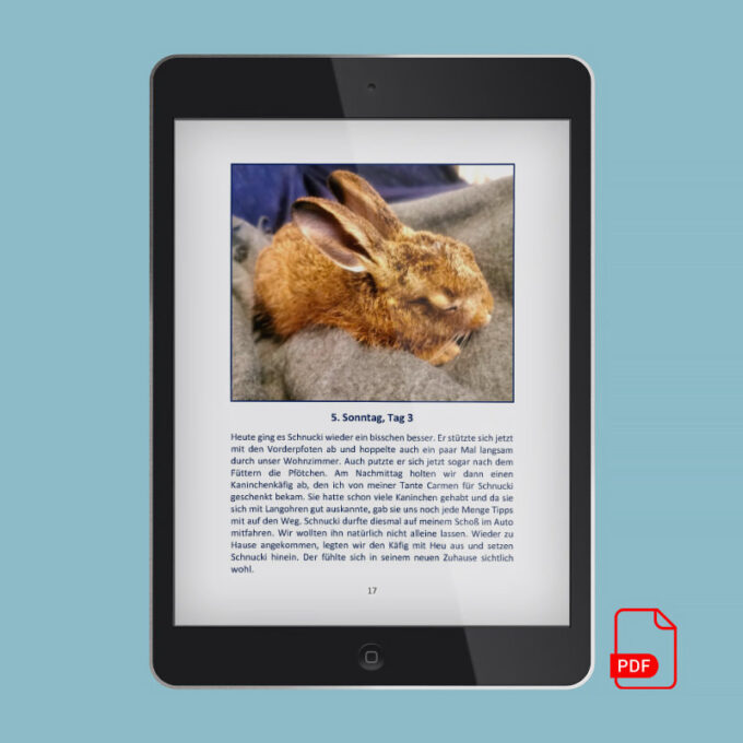 Schnucki 2022 Shop Bild 04